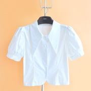 夏季纯棉衬衫2023尖领短外套设计感白色上衣高腰短款女士衬衫