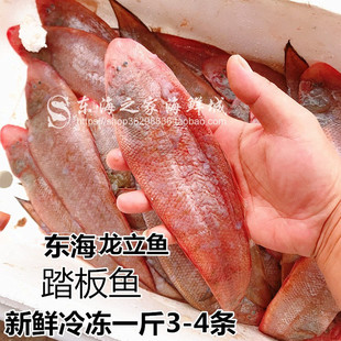东海野生龙利鱼鲜活踏板鱼冷冻大舌头鱼海鲜水产品深海鱼少刺1斤