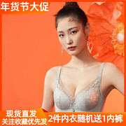 2022秋季爱戴文胸小胸聚拢收副乳调整无钢圈内衣女d6573