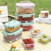 手提保鲜盒春游野餐水果便当盒子，外出食品级便携式携带移动小冰箱