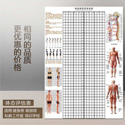 体姿分析墙图壁纸姿势体测表挂式评估瑜伽表身体评估体态健身私教