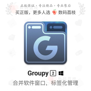 数码荔枝 Groupy 2 软件窗口多合一工具应用标签化合并管理 Win