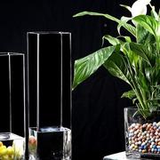 方形落地玻璃花瓶特大透明富贵竹插花百合花水养客厅现代简约花瓶
