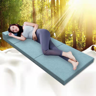 地上睡觉专用垫打地铺隔寒垫折叠床垫家用加厚午休防潮睡垫多功能