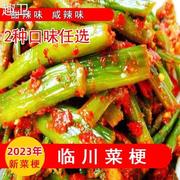 江西抚州新鲜芥菜梗正宗临川菜梗袋装香辣婆婆菜梗开胃菜下饭菜