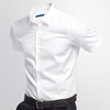 白衬衫男短袖商务正装，韩版修身青年衬衫，夏季全棉免烫职业纯色衬衣