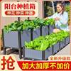 种植箱家庭阳台种菜神器室内蔬菜，专用花盆长方形塑料菜盆特大花箱