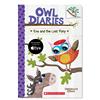 猫头鹰日记8：伊娃与迷路的小马驹：一本桥梁书（彩色） Owl Diaries #8  Eva And The Lost Pony  A Branches Book 英文