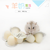 仓鼠兔子龙猫天竺鼠营养零食 韩国BOTH羊奶布丁(果冻)单个 16g