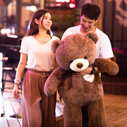 泰迪熊熊猫公仔毛绒玩具，抱抱熊大号玩偶布娃娃，送女友1.2米礼物1.8