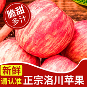 正宗陕西洛川苹果水果，新鲜当季整箱红富士冰，糖心一级脆甜10斤