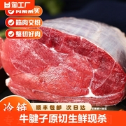 牛腱子原切牛腿肉生鲜现杀新鲜肉(新鲜肉)进口商用冰鲜冷冻牛肉清真食材