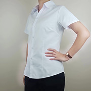 女纯白色职业装衬衫竖条纹，面试长短袖，大码修身显瘦尖领气质棉工衣