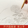 芥子园画谱宣纸白描底稿画稿线稿临摹本描摹册中国画工笔画专用梅兰竹菊翎毛花卉国画毛笔作品纸熟宣书画装裱