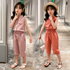 女童夏装套装2022韩版中大儿童小女孩夏天洋气时髦网红两件套