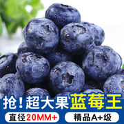 云南蓝莓8盒新鲜水果应当季高山怡颗甜蓝莓鲜果孕妇大果整箱3