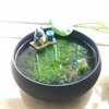 微景观龙猫钓鱼办公桌面客厅小鱼缸紫砂陶瓷 植物种子diy创意盆栽