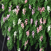 仿真花紫藤花假花藤条吊顶花串藤蔓装饰花塑料植物墙壁挂管道遮挡