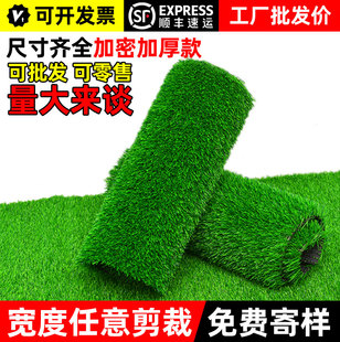 仿真草坪地毯人造人工草皮，绿色户外装饰假草塑料，垫子阳台幼儿园