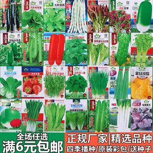 蔬菜种子四季播种香菜菠菜，生菜丝瓜小葱，阳台草莓盆栽萝卜籽孑大全