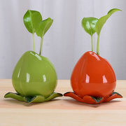 创意绿萝水培植物花瓶，玻璃透明花器水养花盆器皿，插花客厅桌面摆件