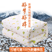 新疆纯棉花被子一级全棉被，芯空调被冬被棉絮被褥铺垫单人四季棉被