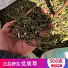 忧遁草中药材500g克优盾草优遁草黎王草鳄嘴花，优顿草茶干货