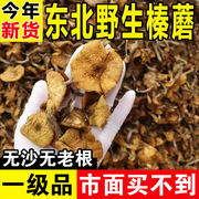 东北榛蘑野生蘑菇干货山珍土特产煲汤菌菇小鸡炖蘑菇榛蘑新货500g