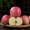 山东烟台栖霞红富士苹果新鲜当季甜脆小苹果水果整箱10斤