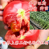 普罗旺斯番茄种子西红柿种籽草莓番茄苗，沙瓤产量高口感(高口感)好酸甜