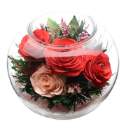 泰国进口永生花玻璃罩花束摆件三色红玫瑰干花情人节礼物花瓶