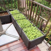 家用春季带脚栽种平台种菜箱，屋顶菜园种植箱，o种花盆田园方型家里