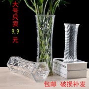 插富贵竹的瓶子玻璃透明插百合干花水培简约现代客厅桌面玻璃花瓶