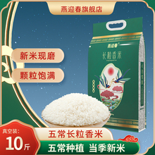 N五常长粒香大米10斤东北大米新米5kg农家稻田粳米