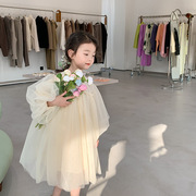 女童洋气仙女裙韩版儿童纯色蕾丝连衣裙女孩蓬蓬纱长袖公主裙