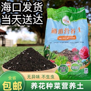 海南有机营养土养花种菜通用型土壤室内盆栽三角梅专用种植土椰糠