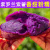 紫薯新鲜番薯地瓜农家蜜薯5斤板栗香红沙地薯糖心山芋蔬菜5