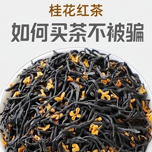 500g桂花红茶浓香型2024新茶武夷非特级正山小种窨制桂花红茶茶叶