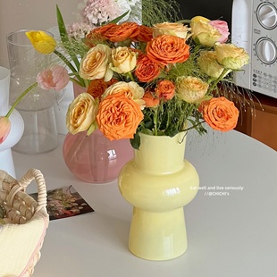 ins小众水培玻璃花瓶博主款彩色灯笼花瓶插花器卧室客厅桌面花瓶
