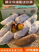 臻造琥珀蜜薯52度新鲜红薯5斤礼盒装新鲜生地瓜整箱板栗番薯