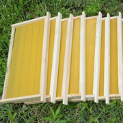 中蜂巢础巢框成品八千带框蜂巢意蜂巢脾蜜蜂巢基蜂箱专用工具养蜂