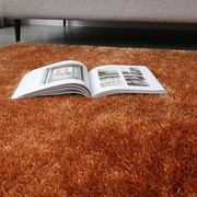 现代简约韩国丝亮丝地毯灰色客厅沙发茶几毯卧室全铺免洗地垫装饰