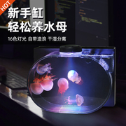 迷你桌面专用小水母缸鱼缸赤月海月巴布亚硝斗鱼家用小型发光观赏