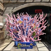 仿真粉色珊瑚树鱼缸水族造景摆件海螺贝壳海星装饰品摆件树脂道具