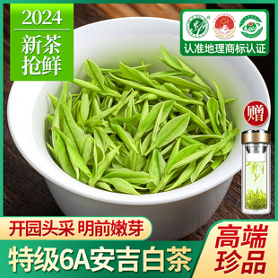 珍品安吉白茶2024新茶，特级绿茶明前春茶，头采芽白茶散装茶叶礼盒装