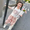 女童新中式国风夏装套装夏季2024儿童女宝宝短袖两件套童装潮