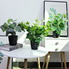 仿真植物装饰小盆栽客厅室，内外装饰塑料，仿真花办公室桌摆绿植假花