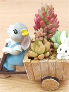 创意卡通可爱兔子三轮车花盆多肉植物组合盆栽幼儿园教师节礼物