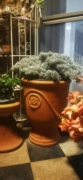 红泥陶罐花盆--园林景观，-家居摆设，-红陶花盆-欧美风格-t288w