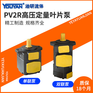 PV2R1高压PV2R2定量PV2R3叶片泵4液压泵PV2R12 13 21 31 32 24 14